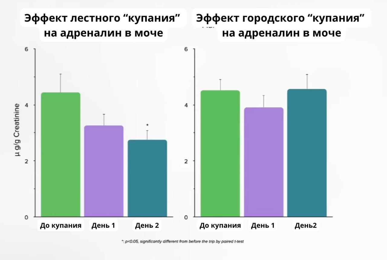 photo_2025-07-16_21-56-05 (2).jpg